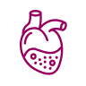 Cardiology