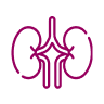 Nephrology